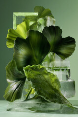Pre-historical plants, arranged in a sculptural, surreal composition