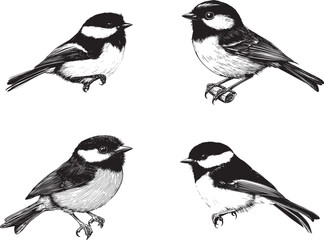 Chickadee Bird SVG
