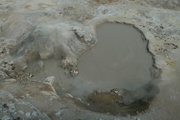 Muddy little spring at Yellowstone National Park Wyoming