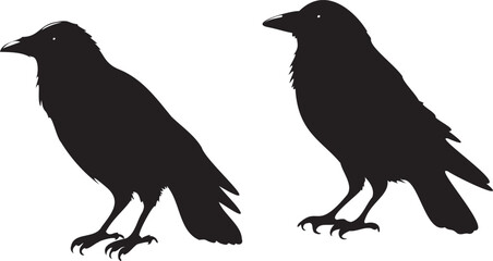Fototapeta premium Black crow birds silhouette vector crow sitting