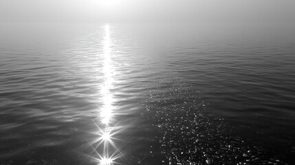 Serene Black and White Water Reflections Under Soft Sunlight