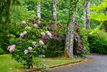 Nach dem Regen im Park, gibt es schöne satte grüne Farben