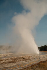 Geyser exploding steaming Scenery at yellowstone national park wyoming