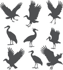 Nine bird silhouettes collection black and white