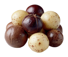 Delicious chocolate coated treats sweet shop food styling indulgence isolated on transparent background