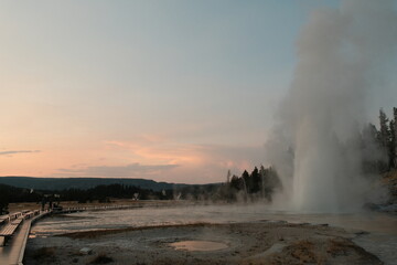 Old Faithful Geyser erupting during evening golden hour dusk with moon after sunset in yellowstone national park