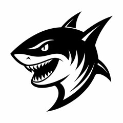 shark vector illustration