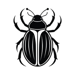 colorado potato beetle