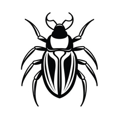 black beetle vector illustration