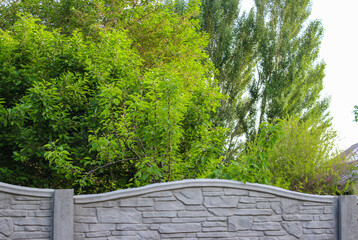 Lush crowns of bright green trees above a stone wall.