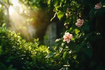 Pink Flowers Emerge Among Lush Green Leaves in a Tranquil Forest Setting During a Gentle Rain.