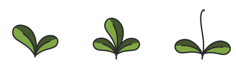 Plant sprout with rounded leaves in green colors. Growing, seedling and planting design elements. Isolated vector images