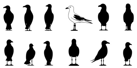 Silhouettes of seagulls in various poses for graphic design and illustration purposes