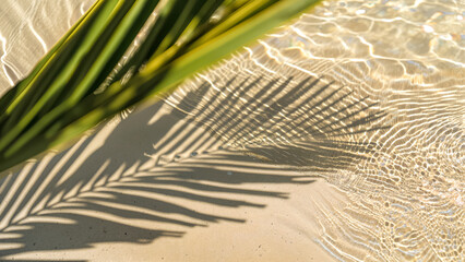 Palm leaf shadow on sunlit sand & rippling water. Tropical beach zen aesthetic, summer nature abstract, serene minimalist spa background. 