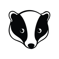 baby european badger face © taslima