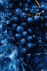 Bunch of Grapes Close Up