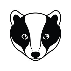 baby european badger face © taslima