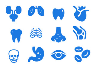 Human organs icon set. Including Urology, Pulmonology, Tooth, heart, X-Ray Chest, nose, Skull, bone, eye, Gastroenterology  and more, editable icon set. Vector illustration