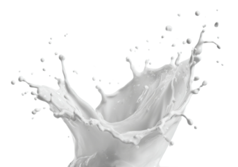 Dynamic milk splash action high-speed capture creative environment isolated on transparent background