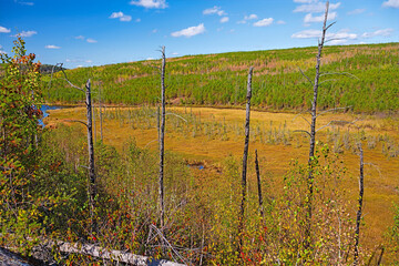 Bog Nestled Between the Hills in the Great North Woods