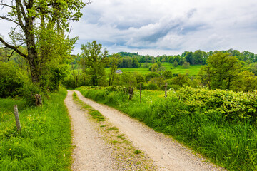Verdant pastures in spring around the village of Salins in the Cantal
