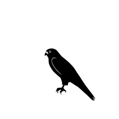 Fototapeta premium Falcon Silhouette: A striking monochrome illustration depicts a falcon in profile, showcasing its sharp features and elegant form against a white backdrop.