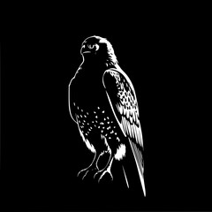 Fototapeta premium Majestic Falcon Silhouette: A striking monochrome line art illustration depicts a powerful falcon perched against a black background, showcasing its sharp features and detailed plumage.