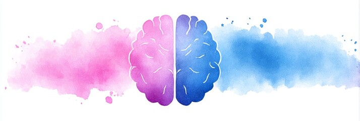 Human Brain Watercolor Illustration - Watercolor illustration of a human brain divided into two hemispheres, pink and blue, representing different functions or thinking styles
