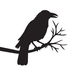 Bird vector