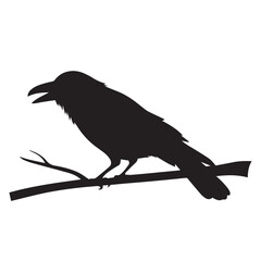 Bird vector