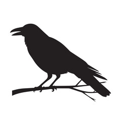 Fototapeta premium Bird vector