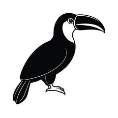 toucan on a branch