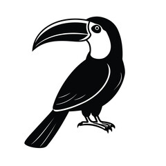 Obraz premium keel billed toucan black