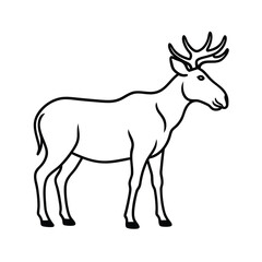 Obraz premium minimalist female moose line art