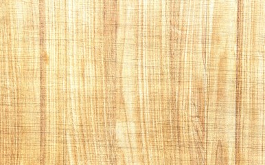 backgrounds and textures concept - wooden texture or background