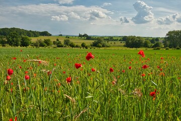 Landschaft Bielefeld