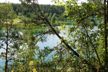 beautiful summer nature, turquoise lake surrounded by pine trees