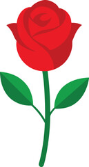 Naklejka premium red rose isolated on white background