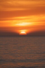 Fototapeta premium Surfer silhouette in pacific ocean during gorgeous beautiful pink orange yellow sunset golden hour in pacific beach san diego california