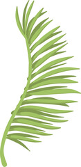 Tropical leave vector icon. Phoenix palm leaf isolated on white background. Simple flat vector illustration for your design style