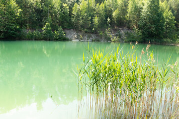a quiet backwater with turquoise water. It's a beautiful summer day.background, a place to copy