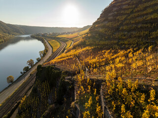 Vineyard terraces in Moselle Valley on Sunset time, Drone Aerial footage, Famous German Mosel Vine Region Moselle River