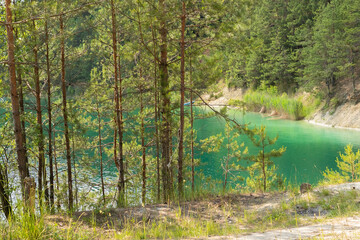 beautiful summer nature, turquoise lake surrounded by pine trees
