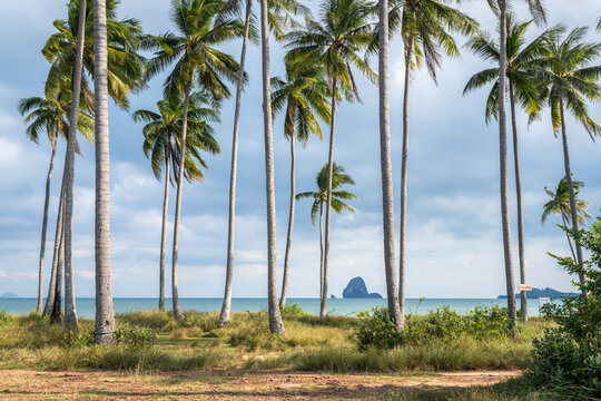 Liam Haad Beach, Koh Yao Yai, Thailand