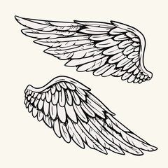 Two Detailed Hand-Drawn Angel Wings Illustrations