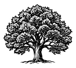 Black and White Hand-Drawn Oak Tree Illustration