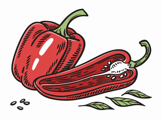 Red Bell Pepper, Halved, Hand-Drawn Illustration