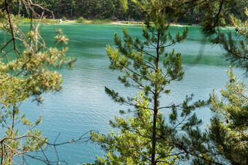 turquoise water lake surrounded by pine trees, top view.A beautiful summer day
