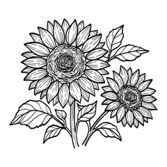 The sunflowers are large and bright, with a lot of detail in their petals and leaves. The flowers are arranged in a way that makes them look like they are in a bouquet, with the stems