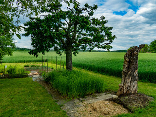 Gemüsegarten am Rand eines Getreidefelds